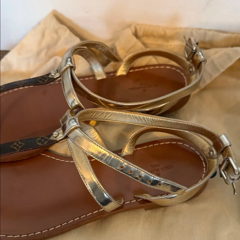 Louis Vuitton Silver and Brown Sandals - Picture 3 of 5
